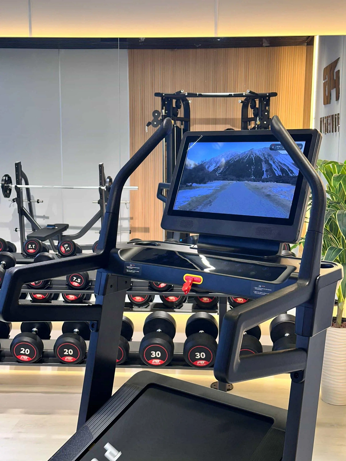 Беговая дорожка PowerGym PG-5